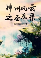 神州風云之圣魔錄在線閱讀