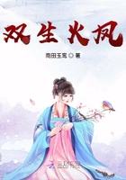 双生火凤