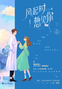 風起時想見你