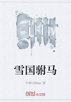 雪国驸马在线阅读