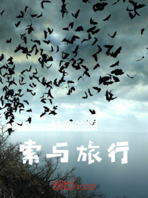 神秘的探索與旅行