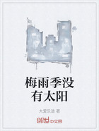 梅雨季没有太阳在线阅读