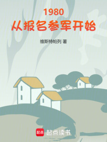 1980：从报名参军开始在线阅读
