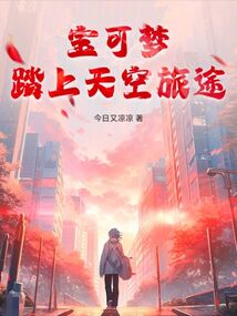 寶可夢:踏上天空旅途