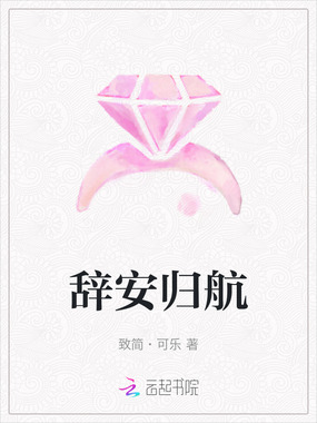 辞安归航在线阅读