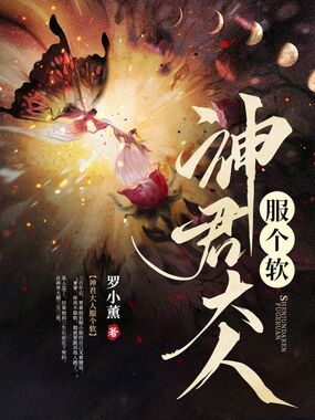 神君大人服个软在线阅读