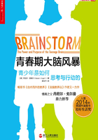 青春期大脑风暴：青少年是如何思考与行动的在线阅读