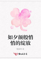 如夕顏般悄悄的綻放在線閱讀