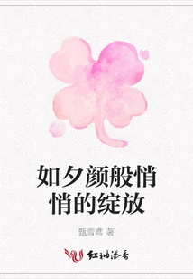 如夕顏般悄悄的綻放