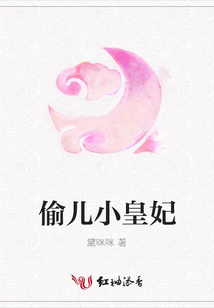 偷儿小皇妃