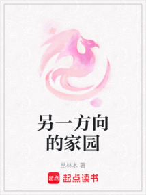 另一方向的家園