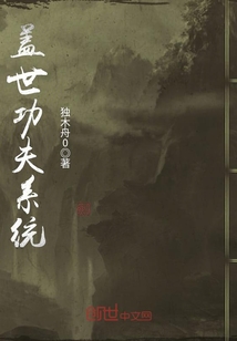 盖世功夫系统 cover