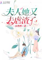 夫人她又去虐渣了在线阅读