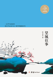 望城往事