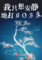 我只想安静地打BOSS