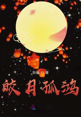 皎月孤鸿在线阅读