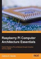 Raspberry Pi Computer Architecture Essentials