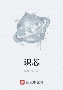 識芯
