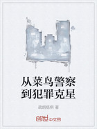 从菜鸟警察到犯罪克星在线阅读