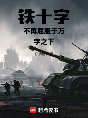 铁十字不再屈服于万字之下在线阅读