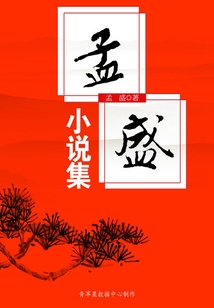 孟盛小說集