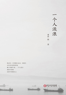 一個人流浪