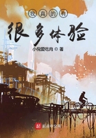 我真的有很多体验在线阅读