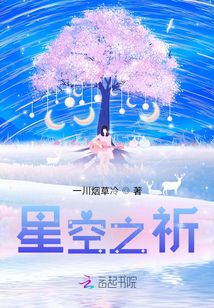 星空之祈