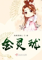 金靈瓏在線閱讀