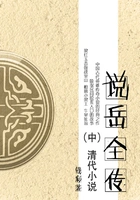 清代小说:说岳全传(中)在线阅读