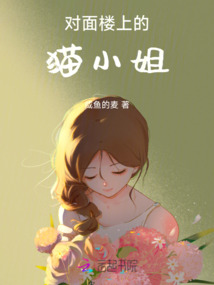 對面樓上的貓小姐