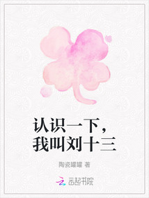 认识一下，我叫刘十三