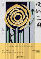 绕城三圈(艾伟作品系列)在线阅读