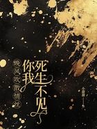 晚风吹散情丝，你我死生不见在线阅读
