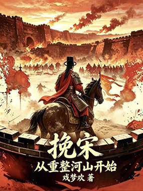 挽宋：从重整河山开始在线阅读