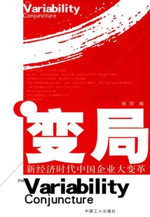變局：新經(jīng)濟時代中國企業(yè)大變革