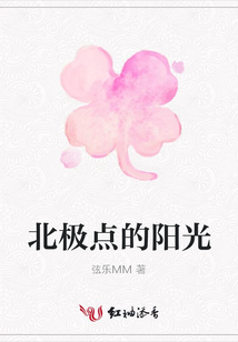 北極點的陽光
