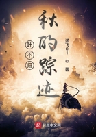 葉不歸秋的蹤跡在線閱讀