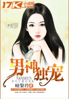 男神獨寵在線閱讀