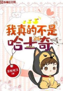 我真的不是哈士奇