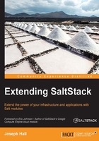 Extending SaltStack在线阅读