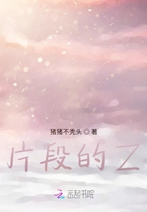 片段的Z