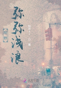 照野弥弥浅浪在线阅读