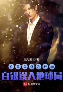 CSGO之開局白銀誤入地球局