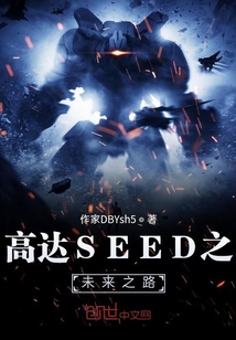 高达SEED之未来之路