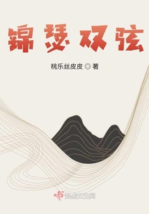 錦瑟雙弦