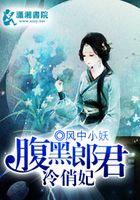 腹黑郎君冷俏妃在線閱讀
