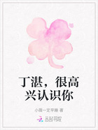 丁湛,很高兴认识你在线阅读