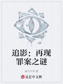 追影:再现罪案之谜