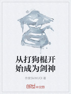 从打狗棍开始成为剑神在线阅读